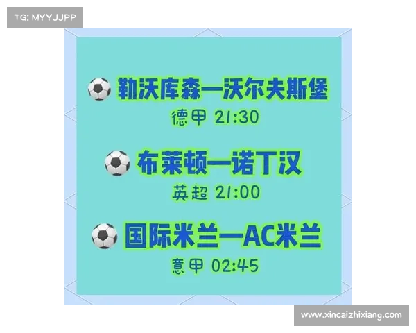 德甲球队在欧洲赛场的崛起与挑战 赛季成绩与未来展望