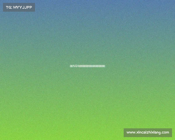 费城NBA球市文化探析及其对球队发展的深远影响